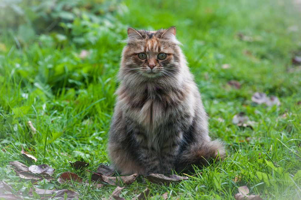 Photograph by Михаил Гаврилов