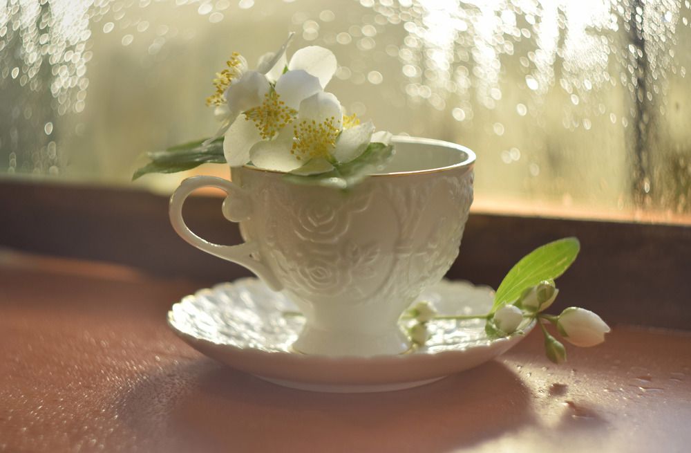 Photograph by Елена Войнова