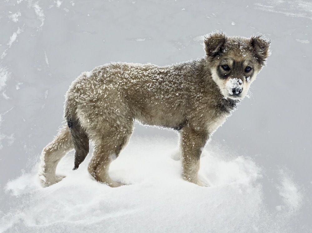 Photograph by Елена Ким