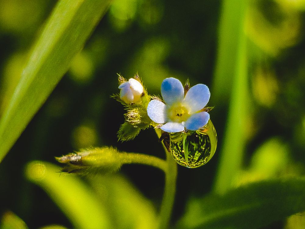 Photograph by Анна Федотова