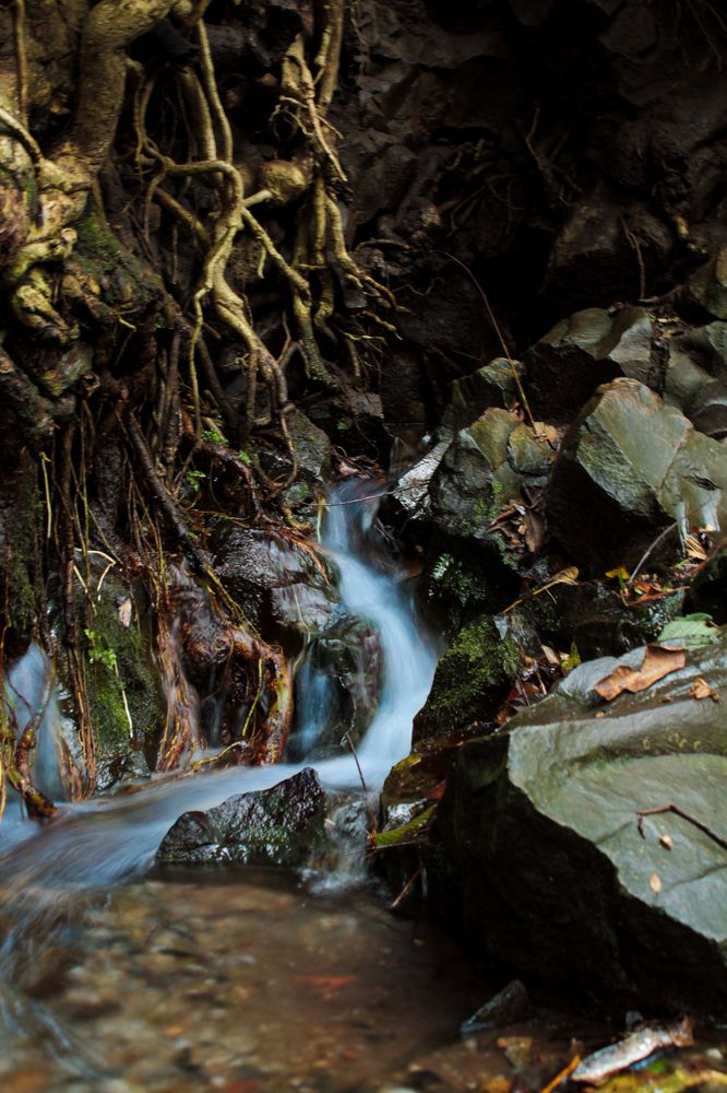 Photograph by Luis Par