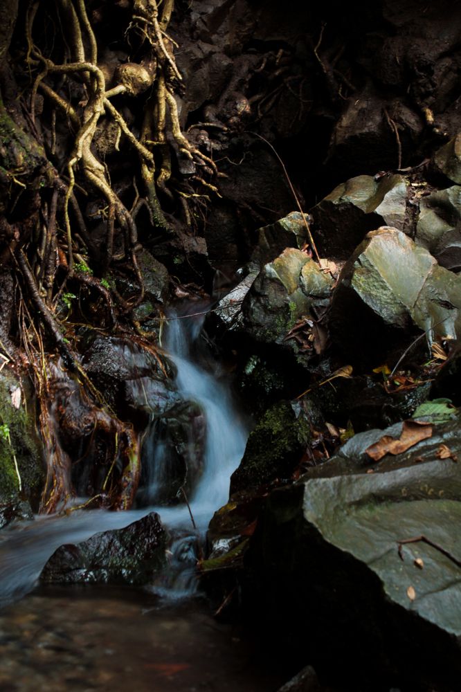 Photograph by Luis Par