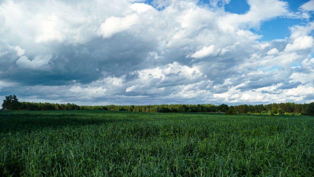 Photograph by Ubare Kelle