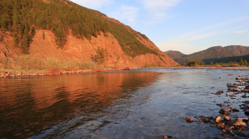 Золото заката