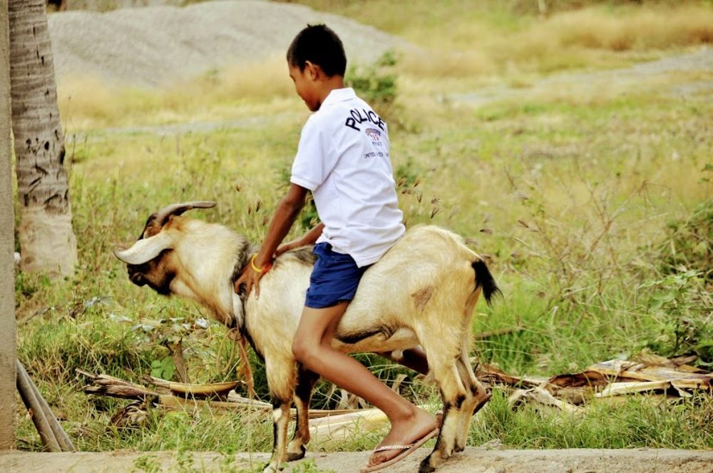 Photograph by Maria Teresa Teixeira de Sousa