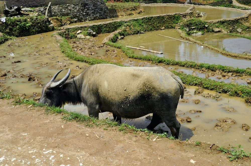 Photograph by Maria Teresa Teixeira de Sousa