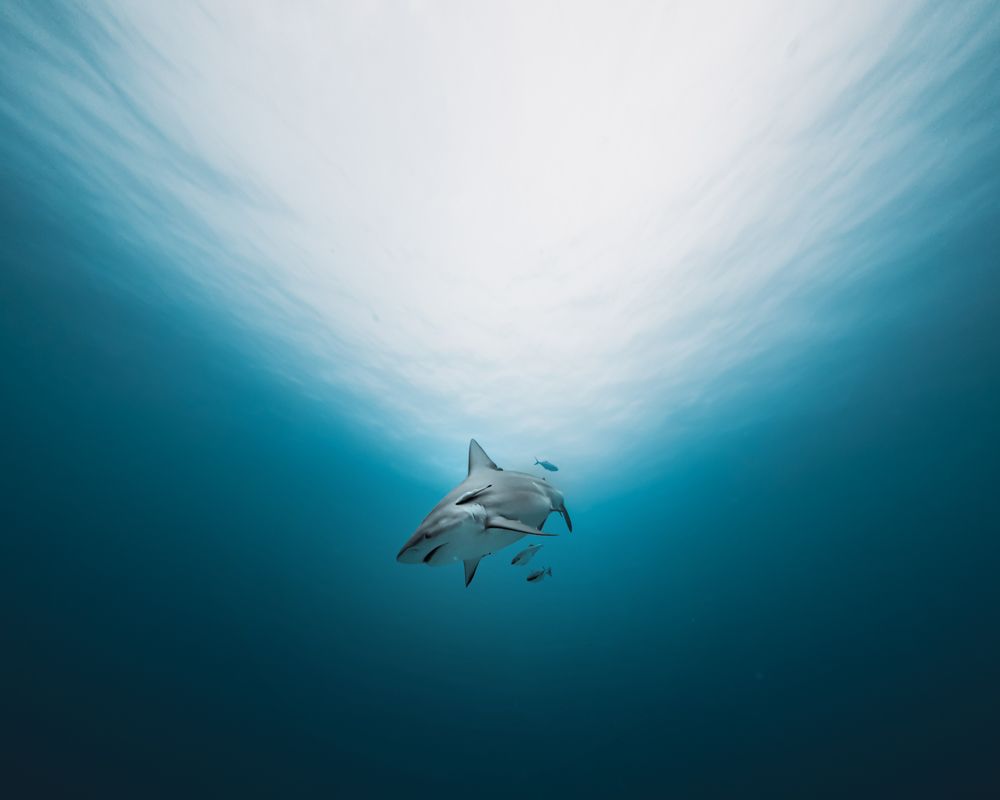 Photograph by Mizael Palomeque