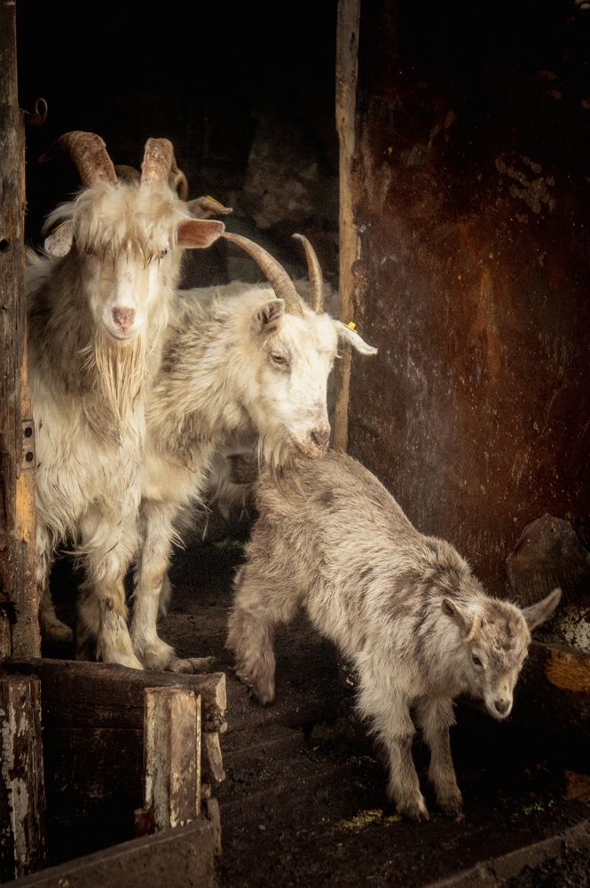 Photograph by Саша Литвин