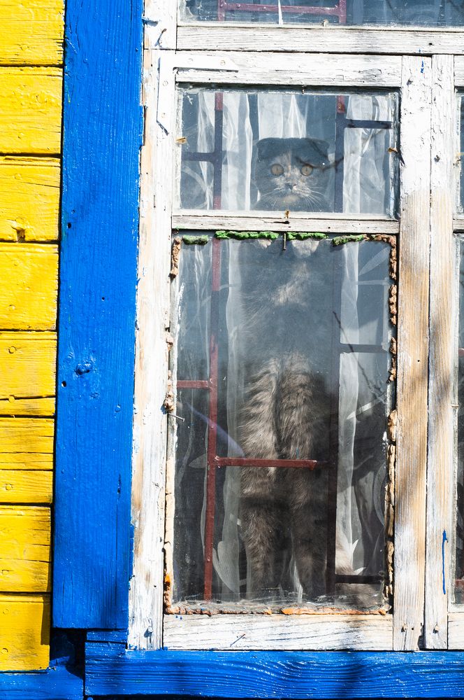 Photograph by Анастасия