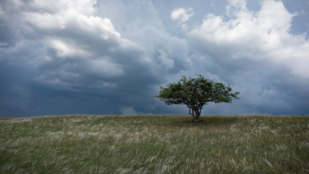 Фотография автора Евгений Петросян
