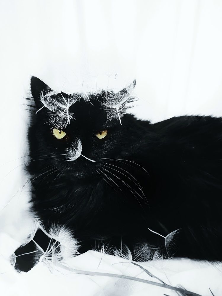 Photograph by Юлия Ледовская