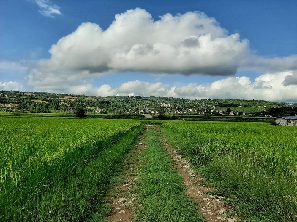 Photograph by seyyed mohammad andy