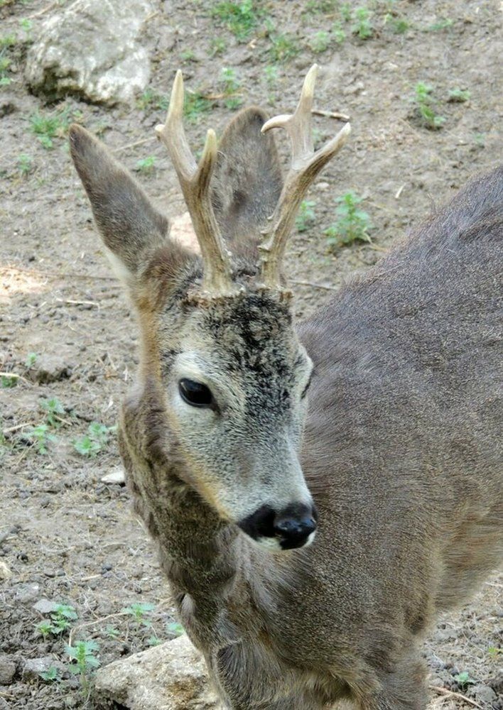 Photograph by Юрий Тихонов