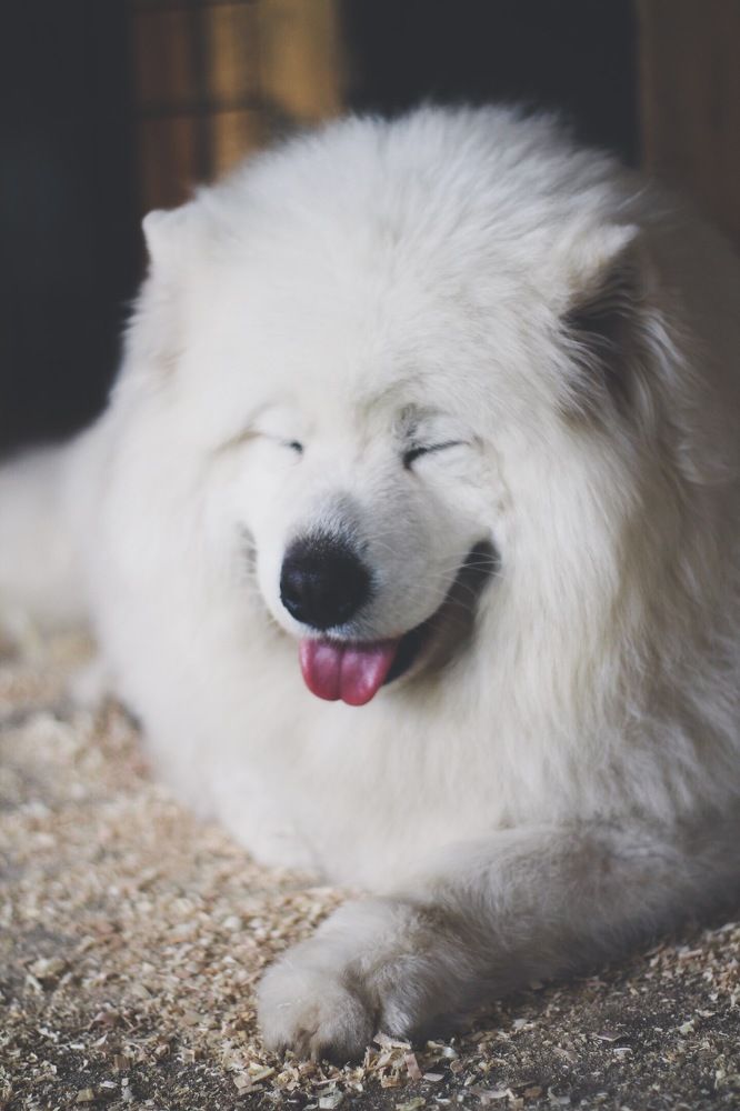 Photograph by Лазарева Анна Игоревна