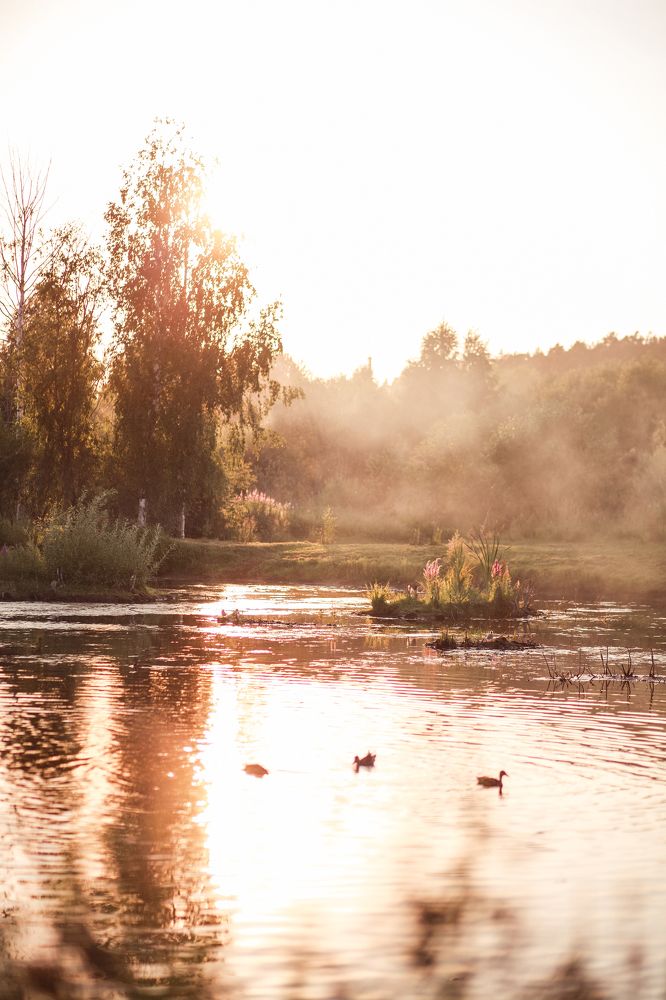 Photograph by Лазарева Анна Игоревна