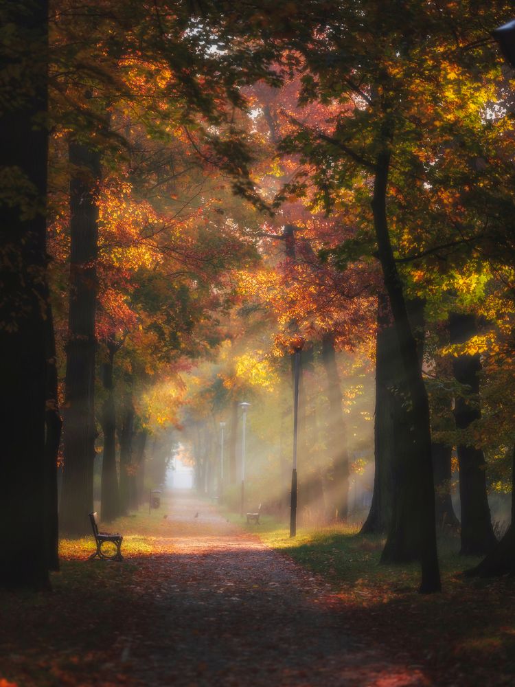 Photograph by Grzegorz