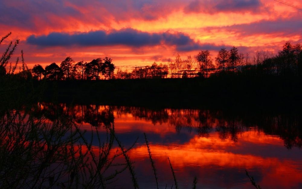 Photograph by Наталия Никитинская