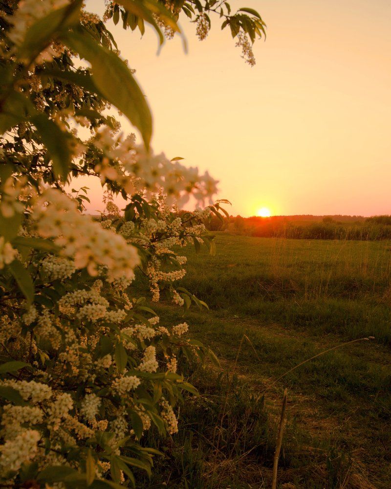 Photograph by Наталия Никитинская