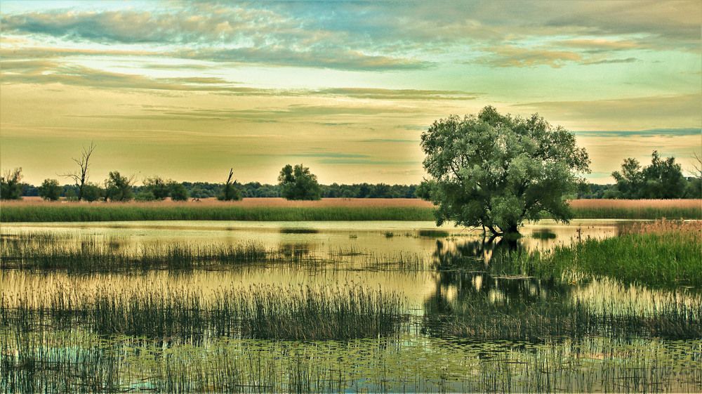 Фотография автора Tomislav Mihelic