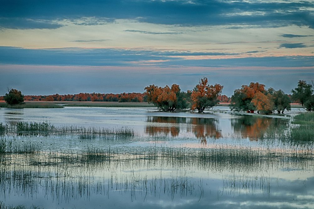 Фотография автора Tomislav Mihelic