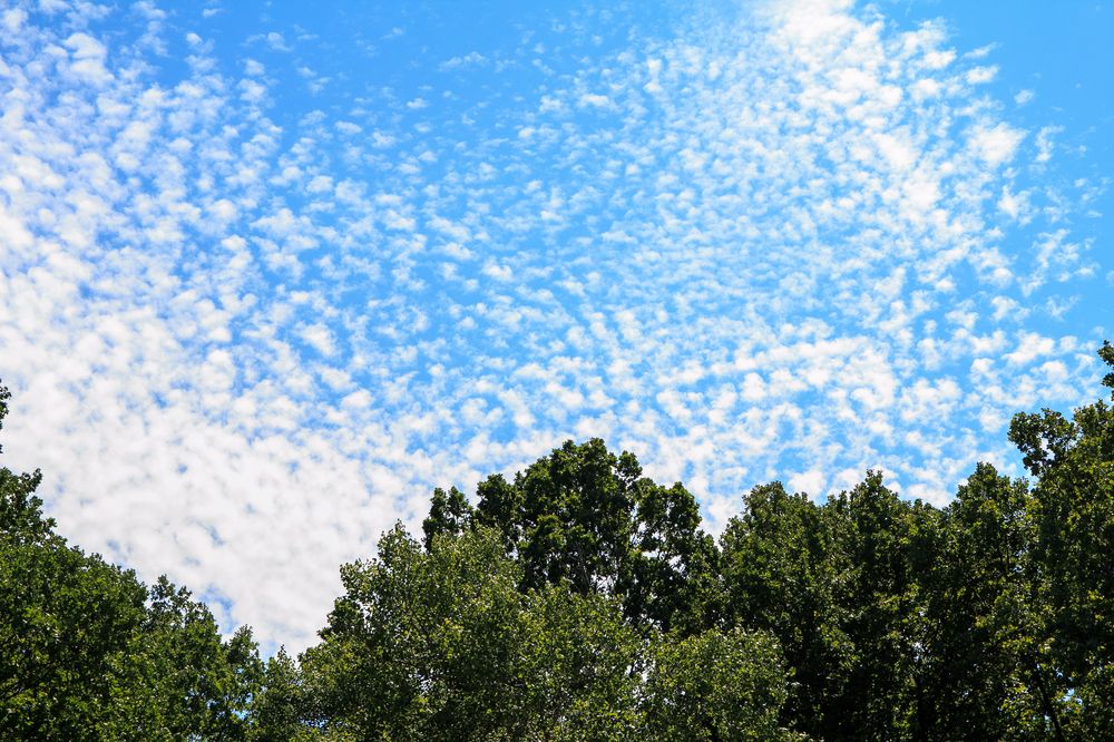 Photograph by Татьяна Куликова