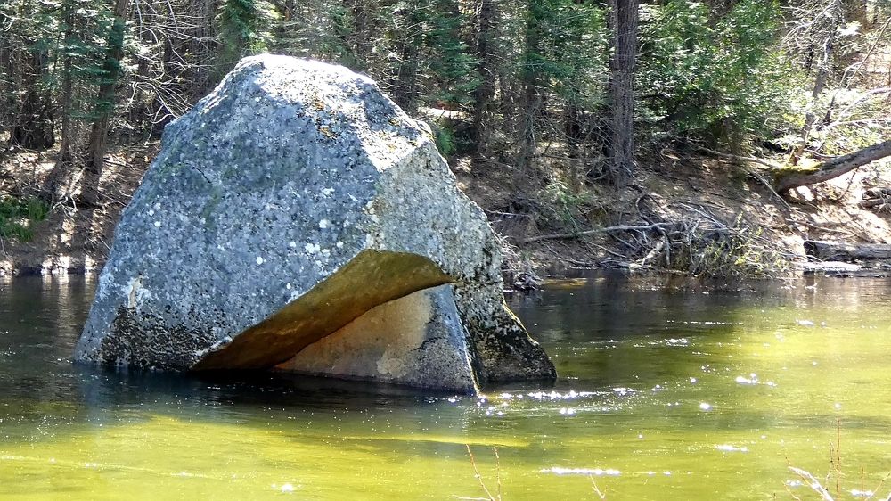 Photograph by Michelle Vaughn