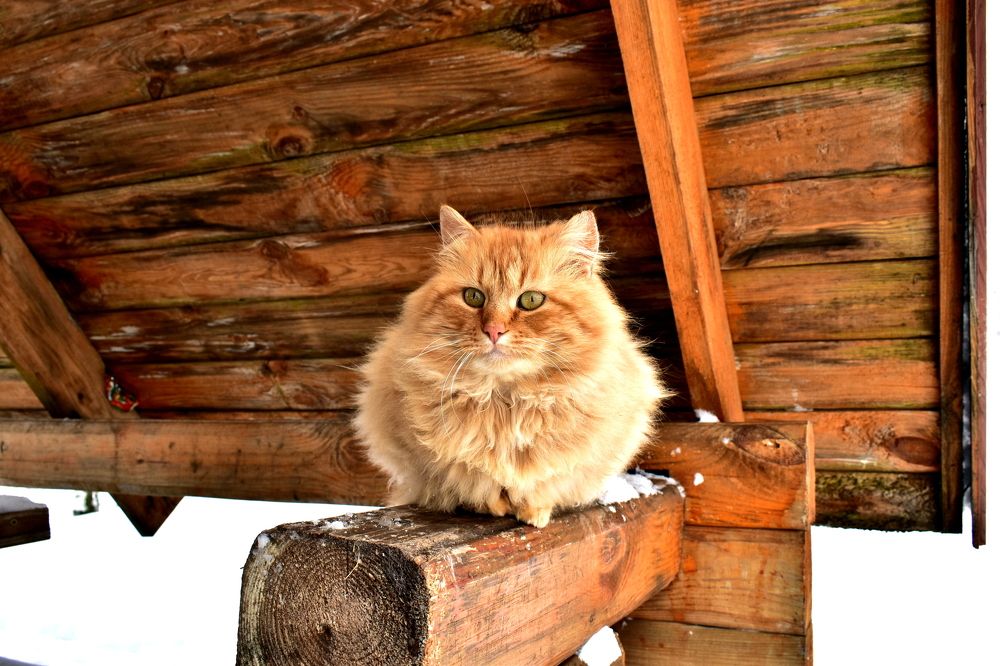 Photograph by Валерий Талейко