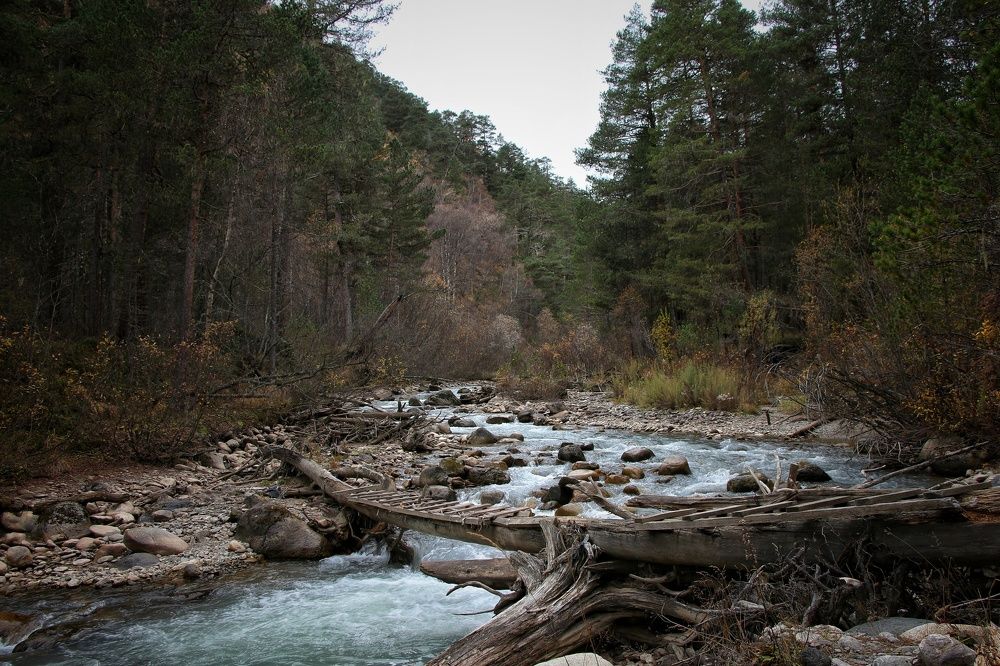 Photograph by Родион