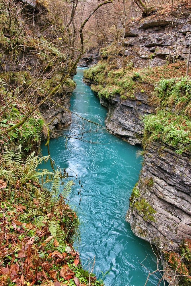 Photograph by Родион