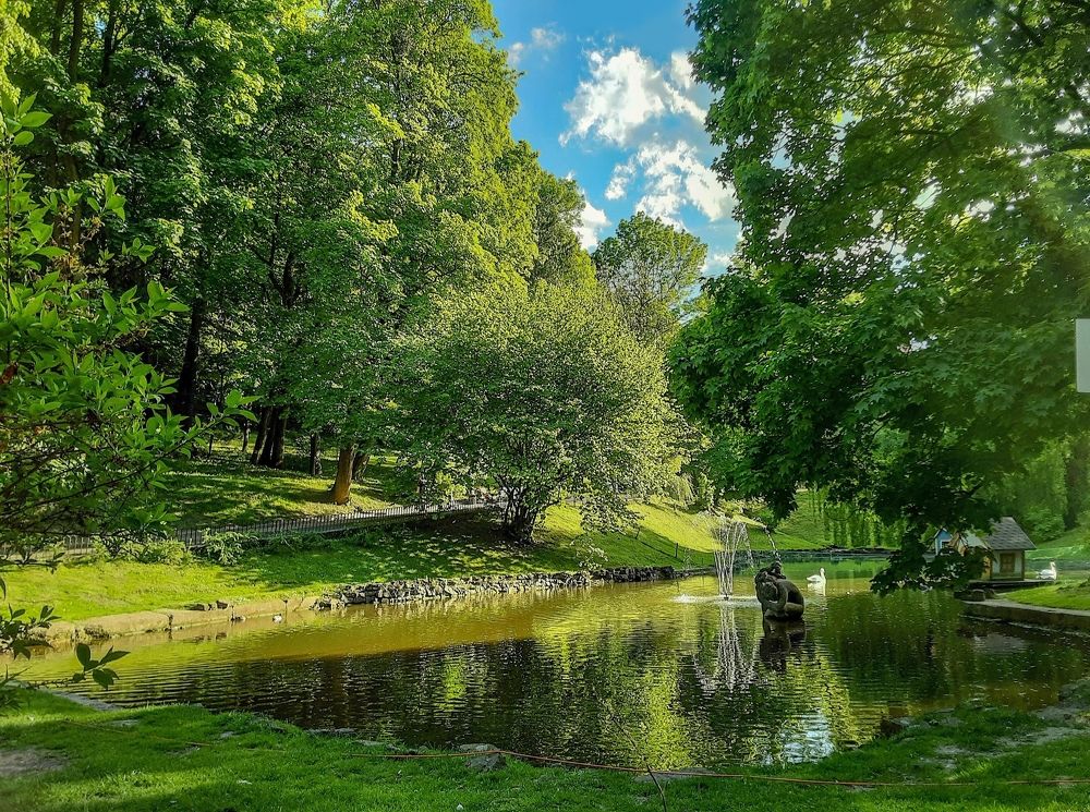 Photograph by Елена Шерман