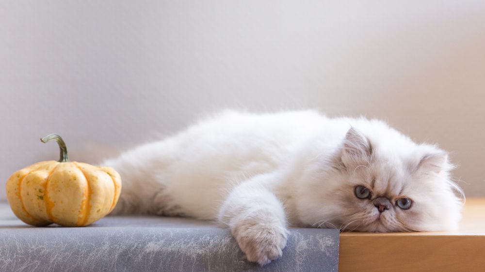 Photograph by Evgeniya Biriukova