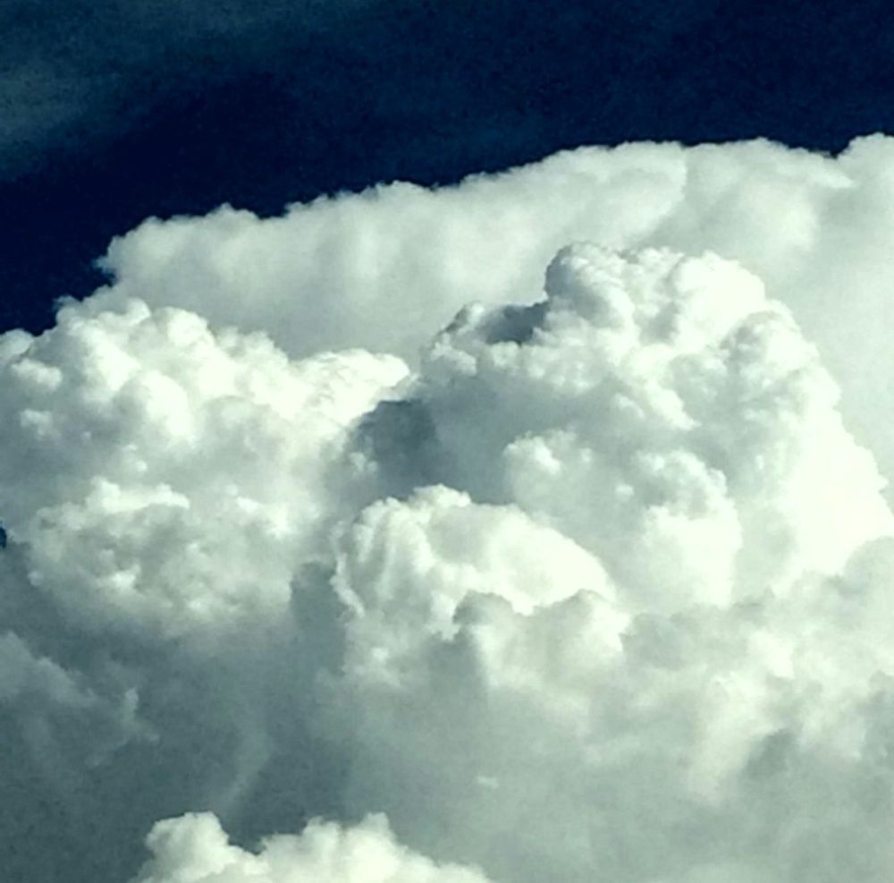 Photograph by Michelle Vaughn