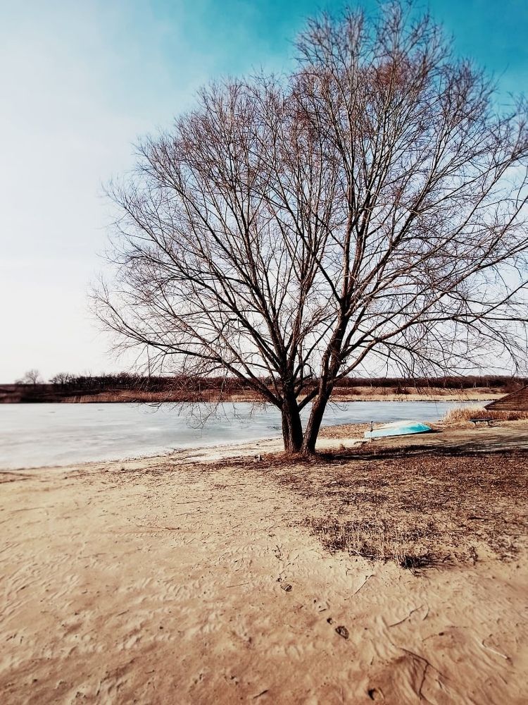 Photograph by Татьяна Куликова