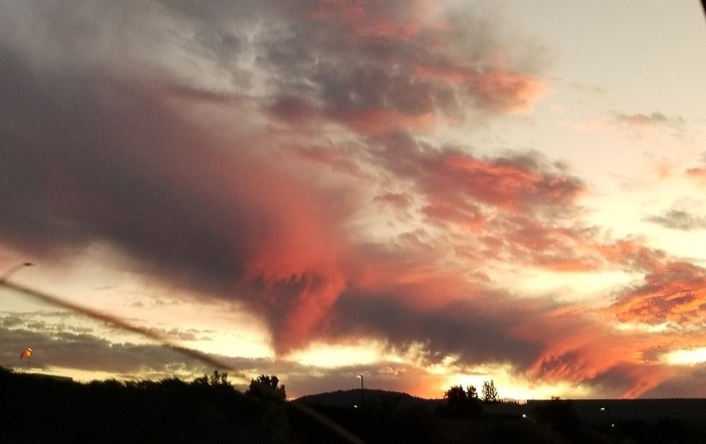 Photograph by Michelle Vaughn