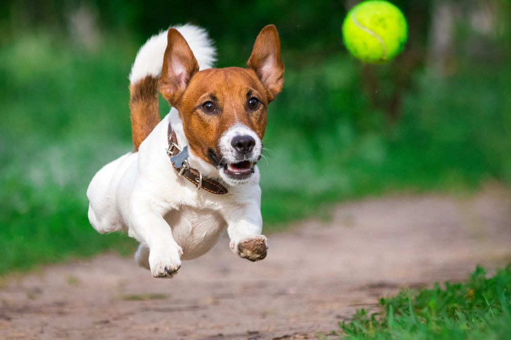 Photograph by Дмитрий Тимин