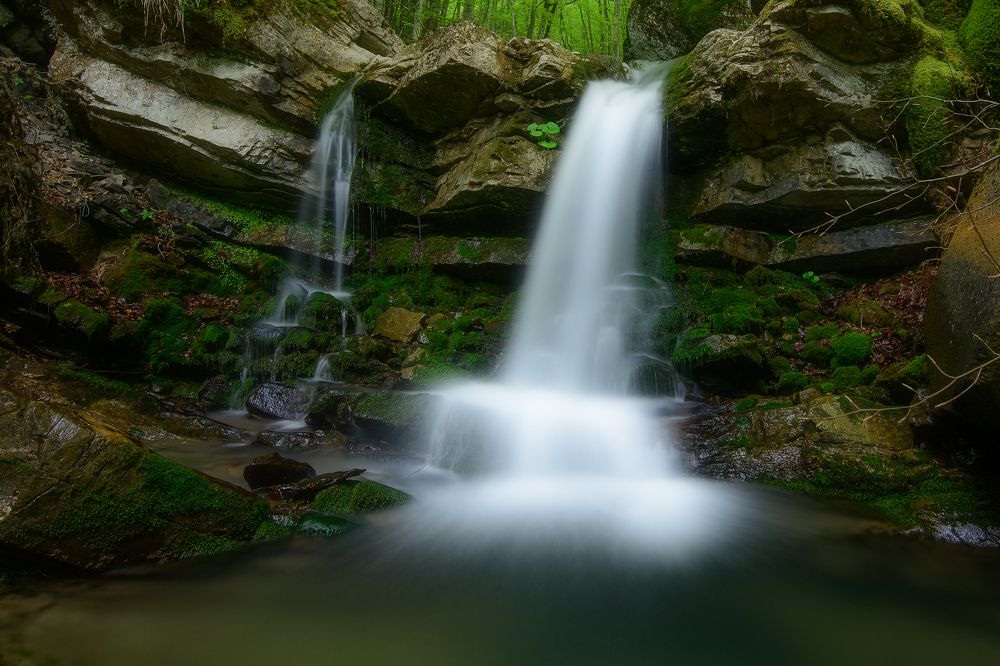 Photograph by Dino Sirica