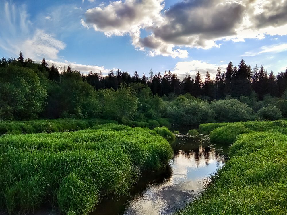 Изумрудные берега.