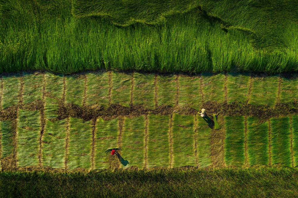 Фотография автора quach nam