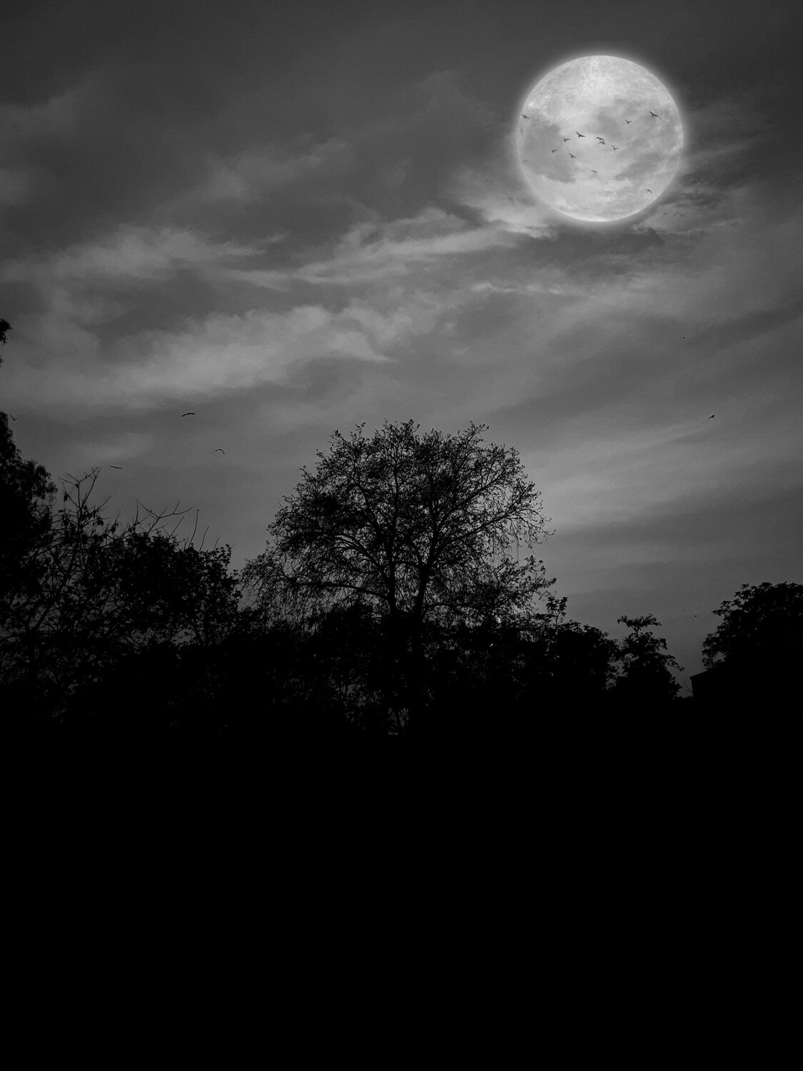 Photo #6152709