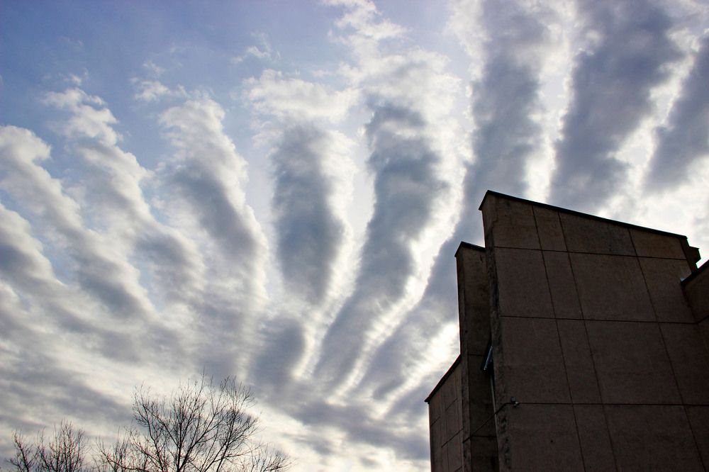 Photograph by Pavel Palkin