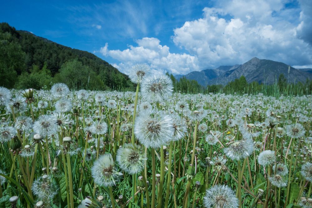 Photograph by Ольга Челидзе