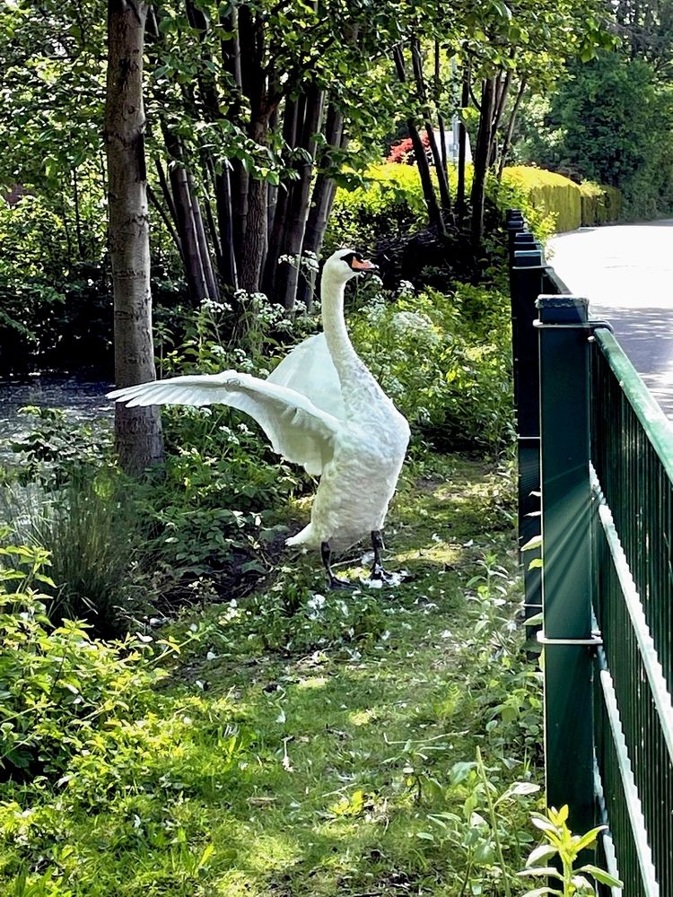 Photograph by Марина Дикманн