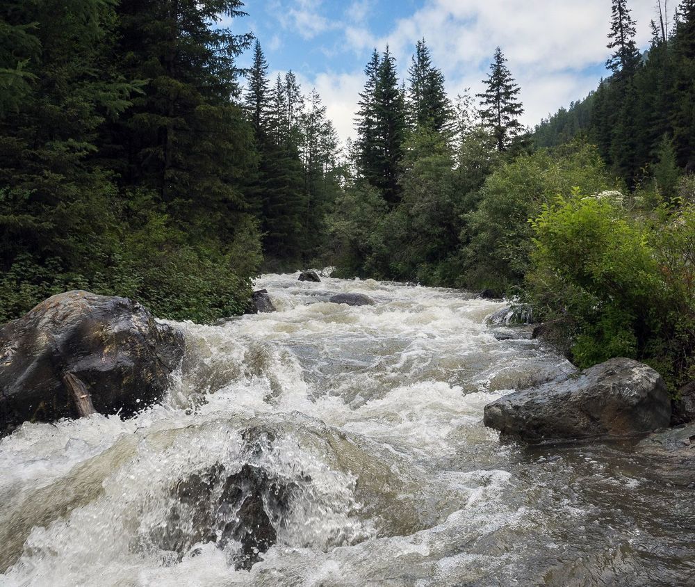 Photograph by Ирина Яук