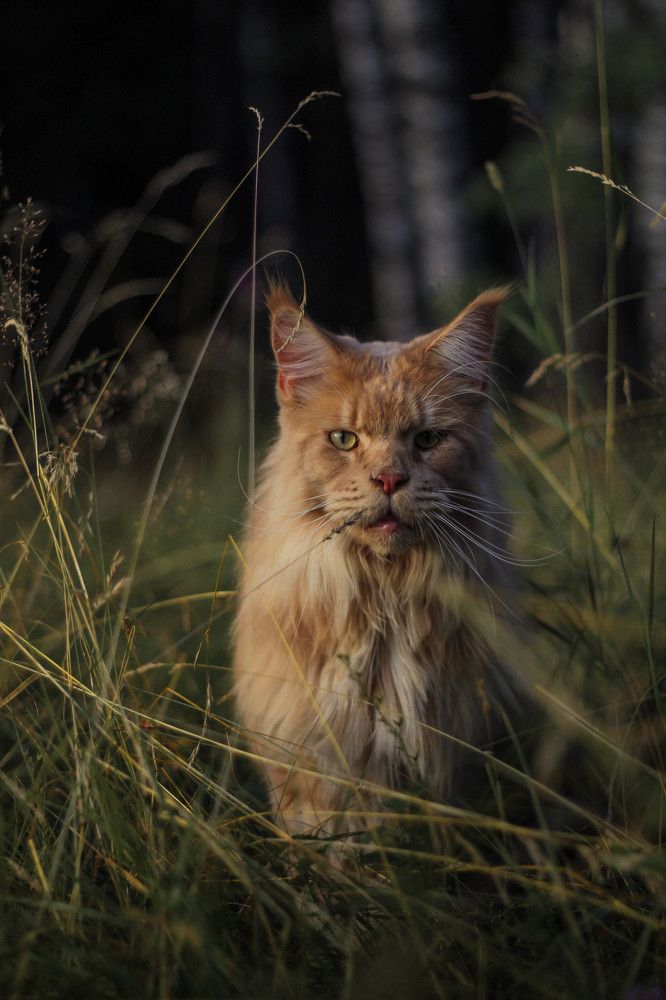 Photograph by Ермолова Анастасия