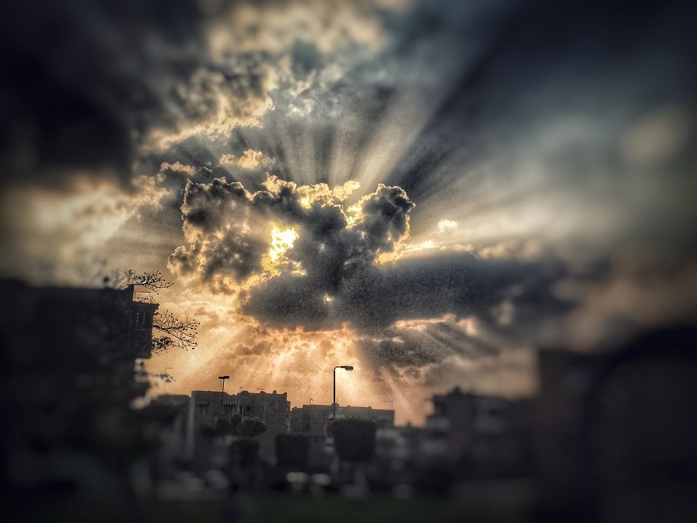 Photograph by Omar Khaled El Sayad