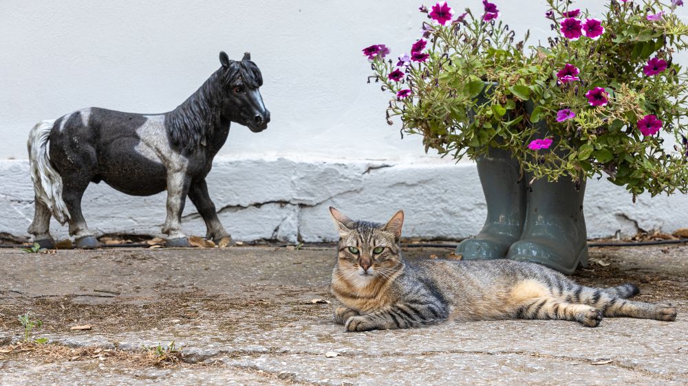 Photograph by Игорь Калинин