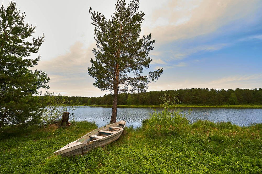 Photograph by Елена Мормоль