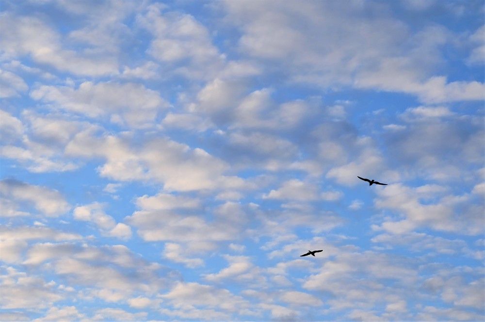 Photograph by Гусева Юлия