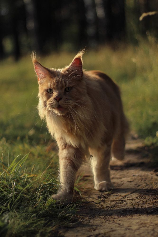 Photograph by Ермолова Анастасия