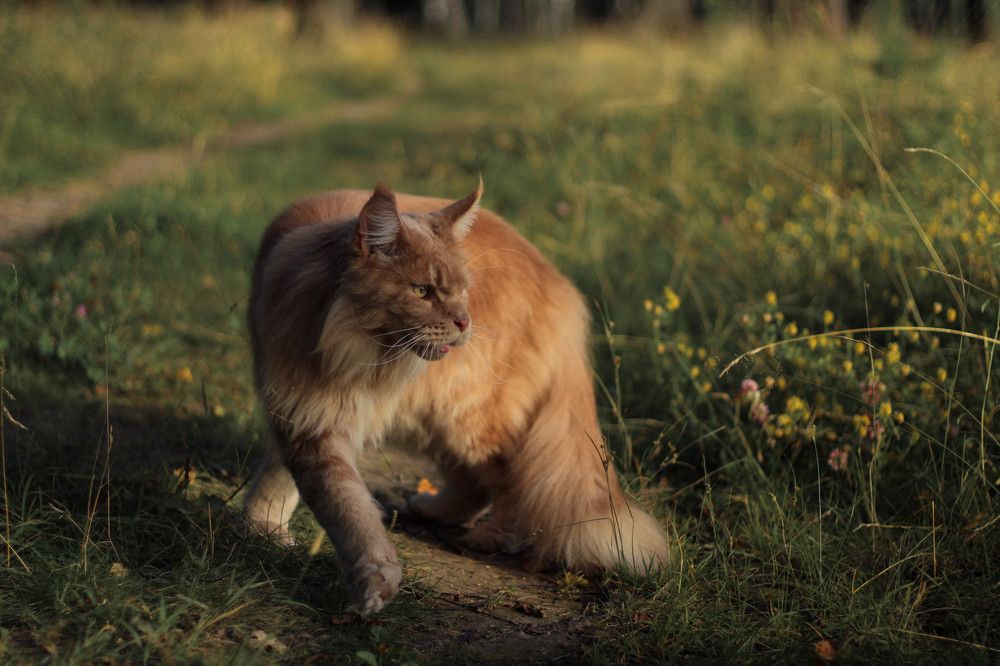 Photograph by Ермолова Анастасия